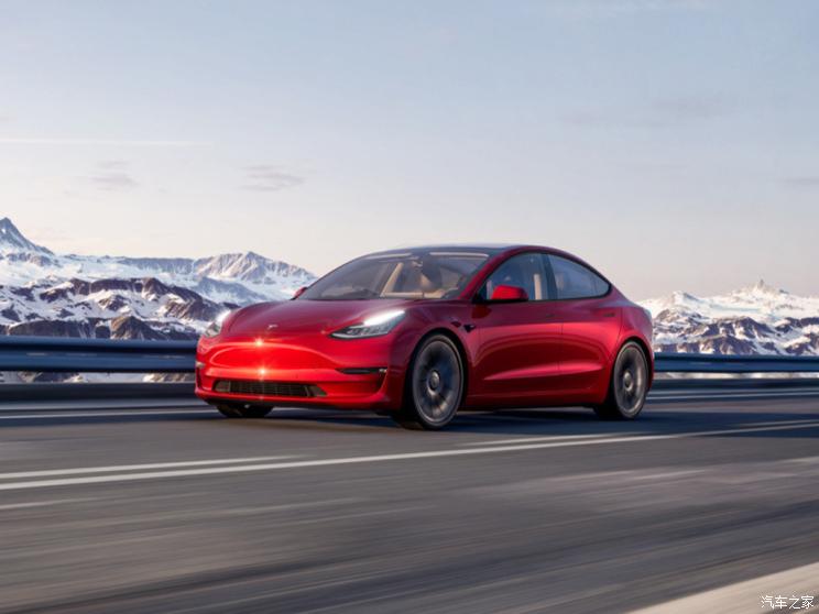 特斯拉（进口） Model 3(进口) 2021款 美国版