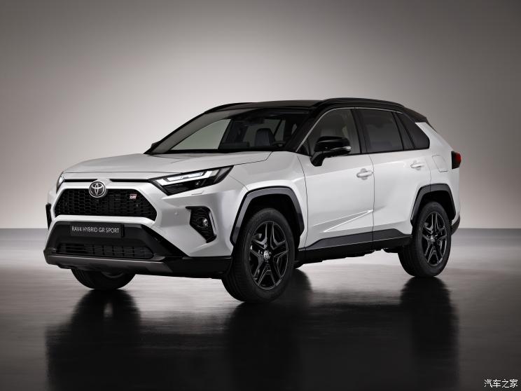 丰田(进口) 丰田RAV4(进口) 2023款 GR SPORT 欧洲版