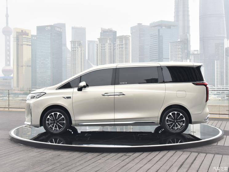 长城汽车 高山DHT-PHEV 2023款 基本型